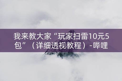 我来教大家“玩家扫雷10元5包”（详细透视教程）-哔哩哔哩
