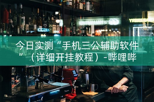 今日实测“手机三公辅助软件”（详细开挂教程）-哔哩哔哩
