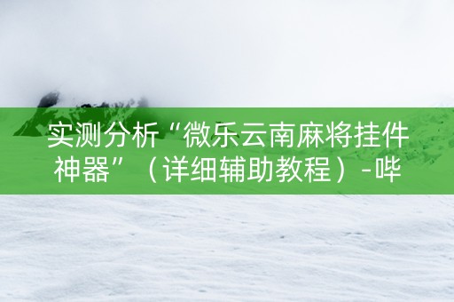 实测分析“微乐云南麻将挂件神器”（详细辅助教程）-哔哩哔哩