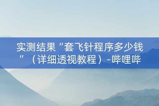 实测结果“套飞针程序多少钱”（详细透视教程）-哔哩哔哩