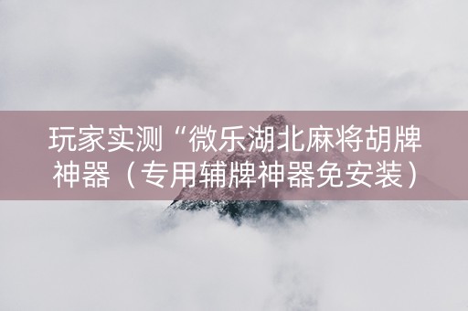 玩家实测“微乐湖北麻将胡牌神器（专用辅牌神器免安装）