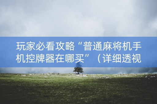 玩家必看攻略“普通麻将机手机控牌器在哪买”（详细透视教程）-哔哩哔哩
