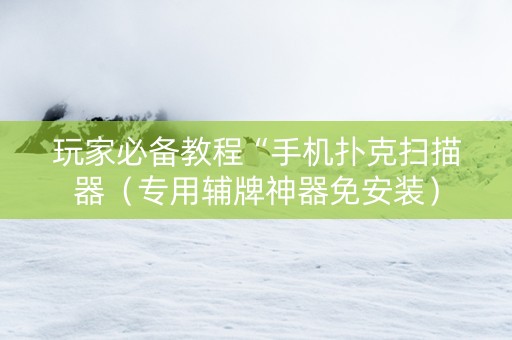 玩家必备教程“手机扑克扫描器（专用辅牌神器免安装）