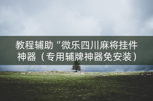 教程辅助“微乐四川麻将挂件神器（专用辅牌神器免安装）
