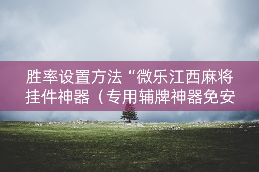 胜率设置方法“微乐江西麻将挂件神器（专用辅牌神器免安装）
