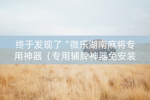 终于发现了“微乐湖南麻将专用神器（专用辅牌神器免安装）