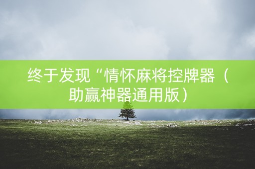 终于发现“情怀麻将控牌器（助赢神器通用版）