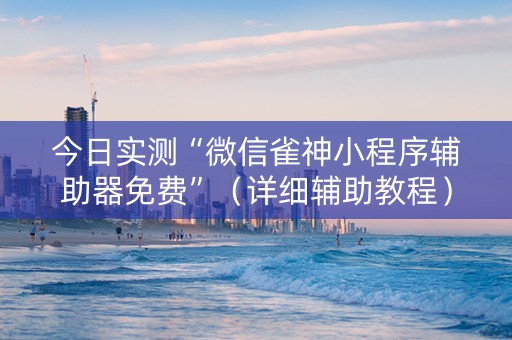 今日实测“微信雀神小程序辅助器免费”（详细辅助教程）-哔哩哔哩