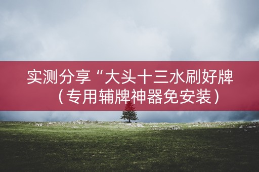 实测分享“大头十三水刷好牌（专用辅牌神器免安装）