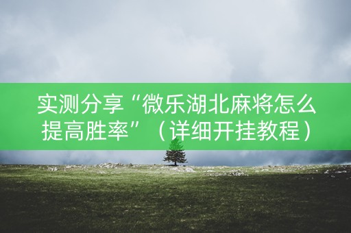实测分享“微乐湖北麻将怎么提高胜率”（详细开挂教程）-哔哩哔哩