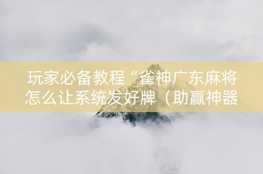 玩家必备教程“雀神广东麻将怎么让系统发好牌（助赢神器通用版）
