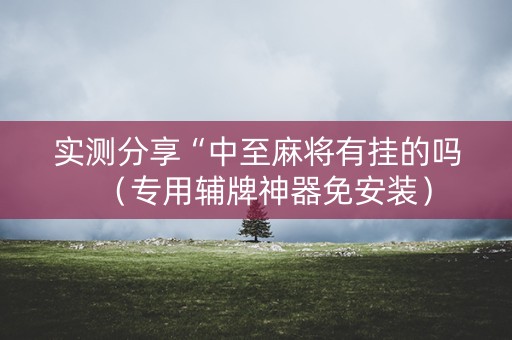 实测分享“中至麻将有挂的吗（专用辅牌神器免安装）