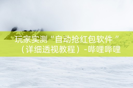 玩家实测“自动抢红包软件 ”（详细透视教程）-哔哩哔哩