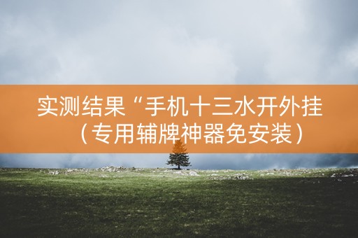 实测结果“手机十三水开外挂（专用辅牌神器免安装）
