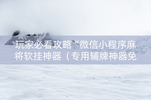 玩家必看攻略“微信小程序麻将软挂神器（专用辅牌神器免安装）