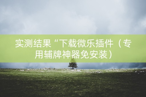 实测结果“下载微乐插件（专用辅牌神器免安装）