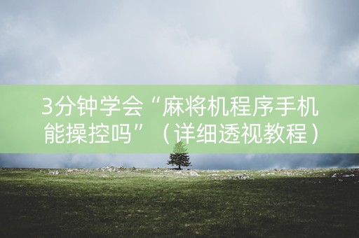 3分钟学会“麻将机程序手机能操控吗”（详细透视教程）-哔哩哔哩
