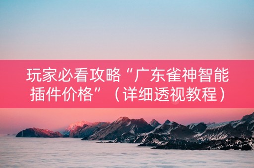 玩家必看攻略“广东雀神智能插件价格”（详细透视教程）-哔哩哔哩