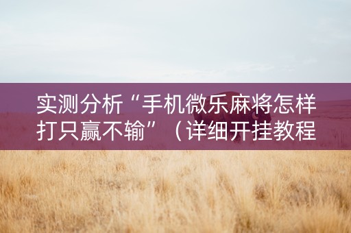 实测分析“手机微乐麻将怎样打只赢不输”（详细开挂教程）-哔哩哔哩