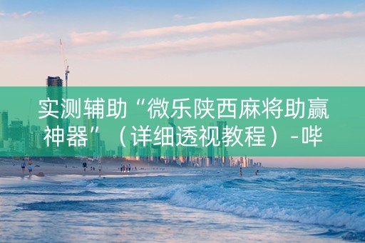 实测辅助“微乐陕西麻将助赢神器”（详细透视教程）-哔哩哔哩