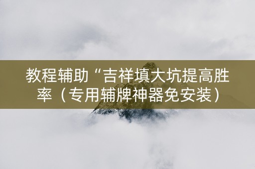 教程辅助“吉祥填大坑提高胜率（专用辅牌神器免安装）
