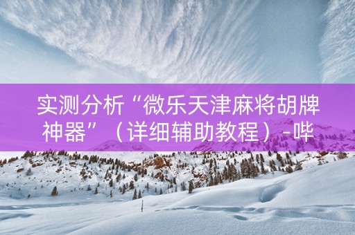实测分析“微乐天津麻将胡牌神器”（详细辅助教程）-哔哩哔哩