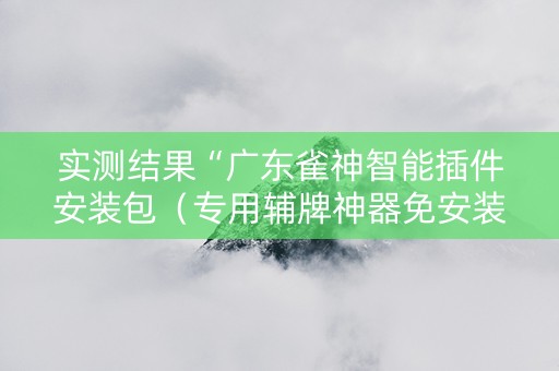 实测结果“广东雀神智能插件安装包（专用辅牌神器免安装）