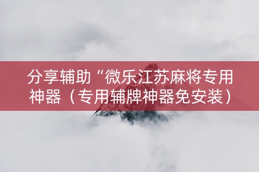 分享辅助“微乐江苏麻将专用神器（专用辅牌神器免安装）
