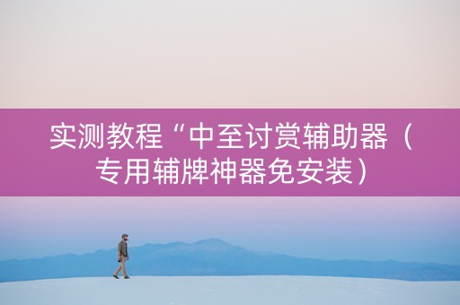 实测教程“中至讨赏辅助器（专用辅牌神器免安装）