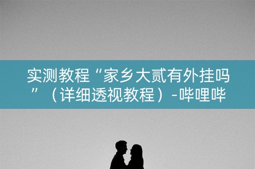 实测教程“家乡大贰有外挂吗”（详细透视教程）-哔哩哔哩