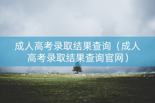 成人高考录取结果查询（成人高考录取结果查询官网）