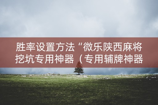 胜率设置方法“微乐陕西麻将挖坑专用神器（专用辅牌神器免安装）