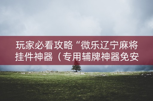 玩家必看攻略“微乐辽宁麻将挂件神器（专用辅牌神器免安装）