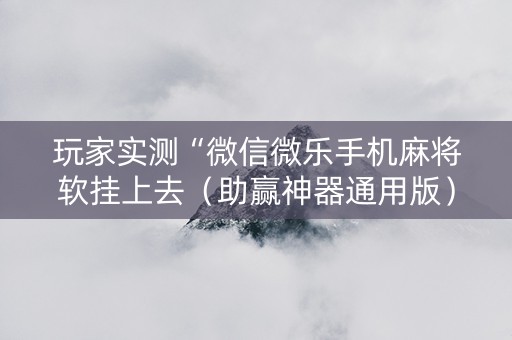 玩家实测“微信微乐手机麻将软挂上去（助赢神器通用版）