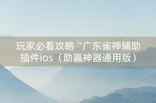 玩家必看攻略“广东雀神辅助插件ios（助赢神器通用版）