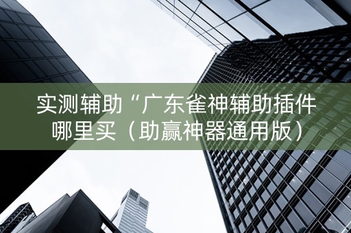 实测辅助“广东雀神辅助插件哪里买（助赢神器通用版）