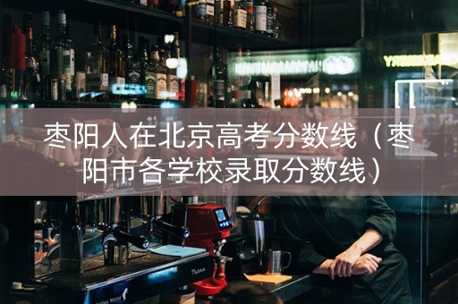 枣阳人在北京高考分数线（枣阳市各学校录取分数线）