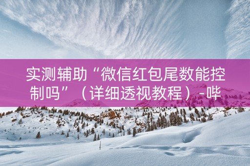 实测辅助“微信红包尾数能控制吗”（详细透视教程）-哔哩哔哩