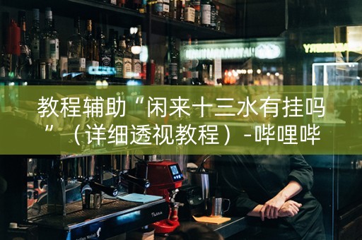 教程辅助“闲来十三水有挂吗”（详细透视教程）-哔哩哔哩