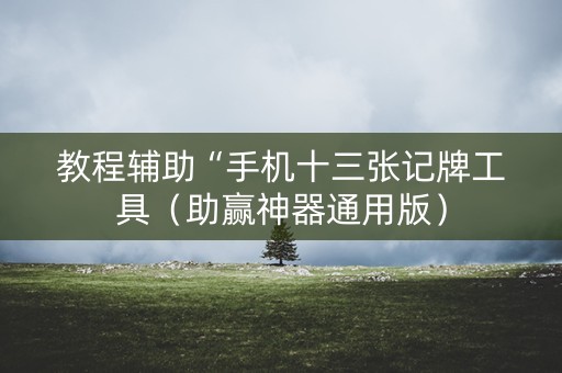 教程辅助“手机十三张记牌工具（助赢神器通用版）
