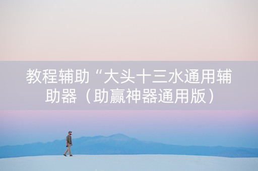教程辅助“大头十三水通用辅助器（助赢神器通用版）