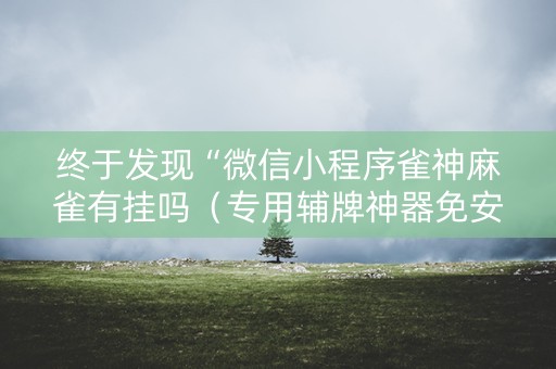 终于发现“微信小程序雀神麻雀有挂吗（专用辅牌神器免安装）
