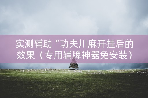 实测辅助“功夫川麻开挂后的效果（专用辅牌神器免安装）