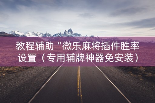 教程辅助“微乐麻将插件胜率设置（专用辅牌神器免安装）