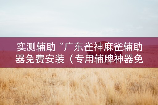 实测辅助“广东雀神麻雀辅助器免费安装（专用辅牌神器免安装）
