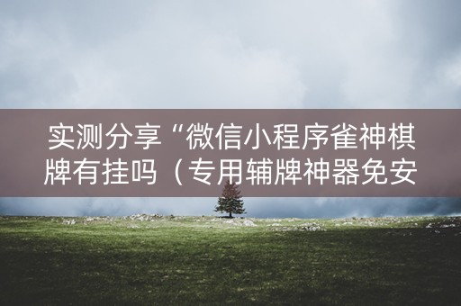 实测分享“微信小程序雀神棋牌有挂吗（专用辅牌神器免安装）
