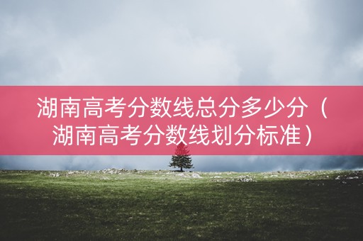 湖南高考分数线总分多少分（湖南高考分数线划分标准）