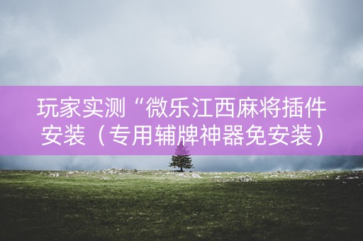 玩家实测“微乐江西麻将插件安装（专用辅牌神器免安装）