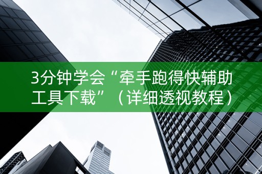 3分钟学会“牵手跑得快辅助工具下载”（详细透视教程）-哔哩哔哩