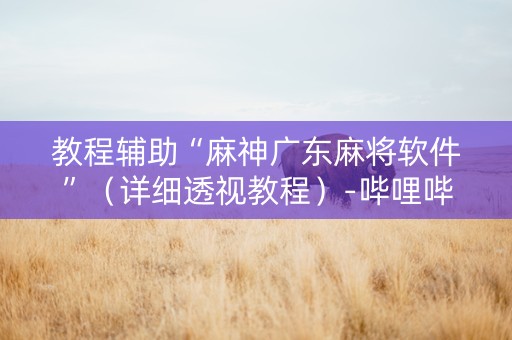 教程辅助“麻神广东麻将软件”（详细透视教程）-哔哩哔哩